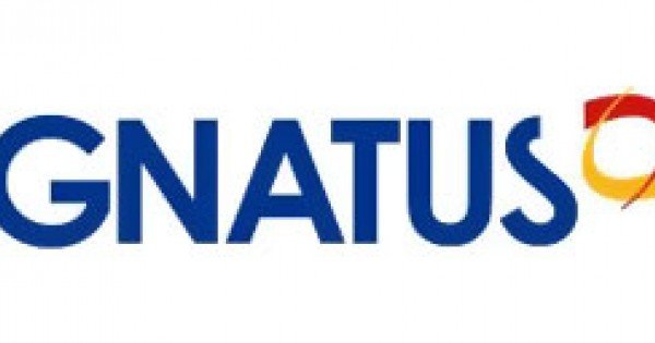 Gnatus